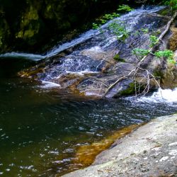 Water Falls Upper Creek