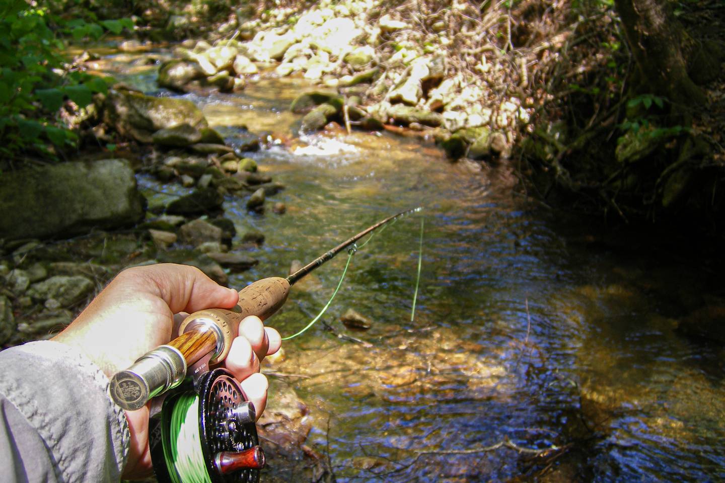Mitchell County NC Trout Streams